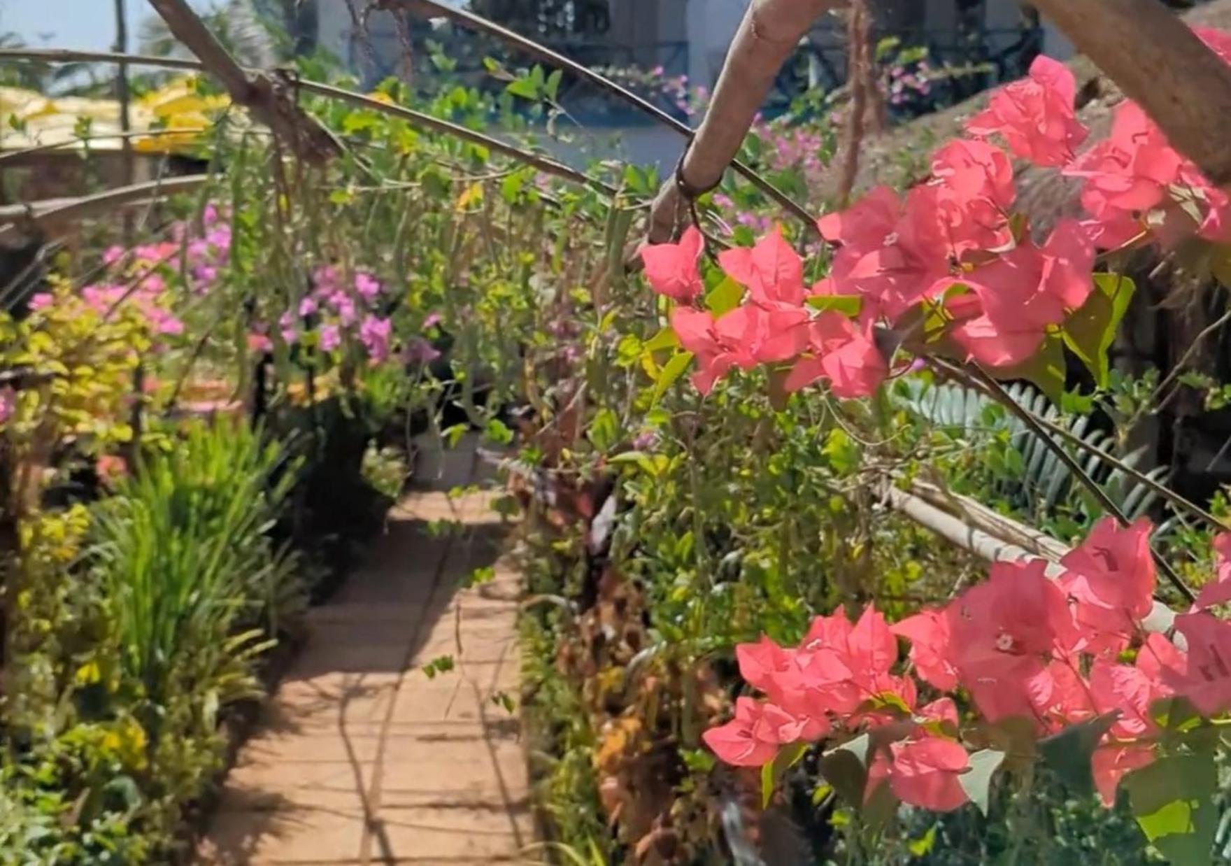 فندق Hippie Paws مادريم المظهر الخارجي الصورة